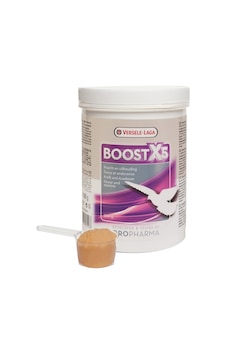 Versele - 410 - Laga Or.boost X5 Yarış Güv.güç - Aconcept - İçin 500 G Versele - 410 - Laga Or.boost X5 Yarış Güv.güç - Aconcept - İçin 500 G
