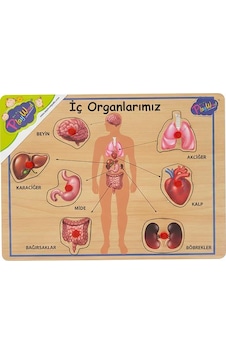 Playwood Ahşap Tutmalı Eğitici Puzzle İç Organlarımız ONY167