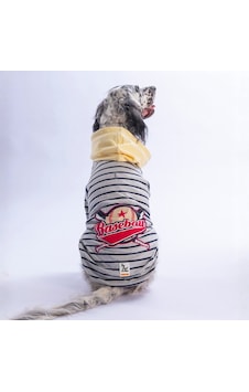 Sarı Seattle Pitch Orta-büyük Irk İçin Hoodie Köpek Sweatshirt Köpek Sweat Köpek Kıyafeti Sarı Seattle Pitch Orta-büyük Irk İçin Hoodie Köpek Sweatshirt Köpek Sweat Köpek Kıyafeti