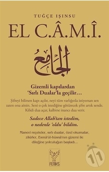 Feniks Yayınları-Artı El Cami