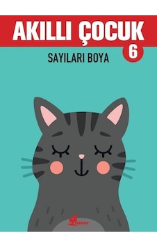 Akıllı Çocuk - Sayıları Boya- Çınar Yayınları