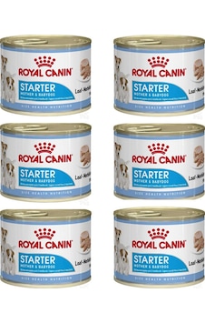 Royal Canin Starter Mother & Baby Dog Konserve Yavru Köpek Maması 6 x 195 G Royal Canin Starter Mother & Baby Dog Konserve Yavru Köpek Maması 6 x 195 G
