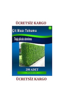 Mazı TohumuÇit Mazı Tohumu250 Adet Mazı TohumuÇit Mazı Tohumu250 Adet