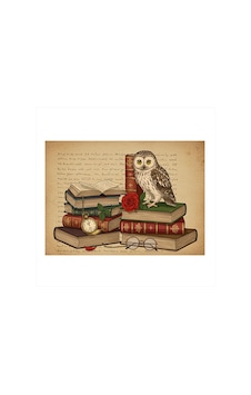 Kitap Ve Bilgelik Baykuşu Tasarım Ahşap Tablo Kitap Ve Bilgelik Baykuşu Tasarım Ahşap Tablo