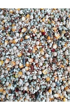 Tippler Dört Mevsim Güvercin Yemi 3 Kg
