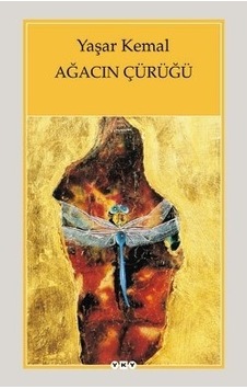Ağacın Çürüğü Ağacın Çürüğü