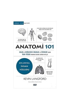 Anatomi 101: Kaslar Ve Kemiklerden Organlar Ve Sistemlere Kadar İnsan Vücudu Hakkında Bilmeniz Gereken Her Şey
