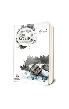 Küçük Kara Balık - Samed Behrengi - İnsan Kitap