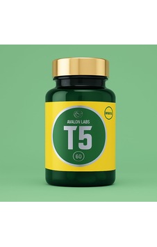 Avalon Labs T5 60 Kapsül Aromasız