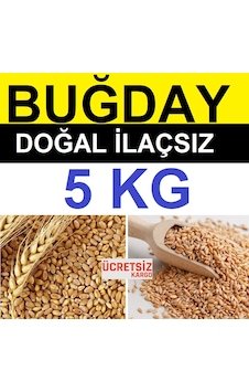 Buğday 5 Kg Yemlik Buğday Tavuk Yemi Güvercin Yemi Kanatlı Yemi Buğday 5 Kg Yemlik Buğday Tavuk Yemi Güvercin Yemi Kanatlı Yemi