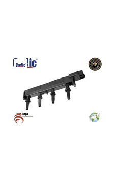 Ateşleme Bobini 206-307-406-407-expert 2.0 16v/ew10j4 Ateşleme Bobini 206-307-406-407-expert 2.0 16v/ew10j4