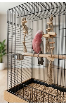 Mivra Pets 2'li Papağan Kemirme Parçalama Jüt Halat Seti Mivra Pets 2'li Papağan Kemirme Parçalama Jüt Halat Seti