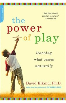 The Power of Play 9780738211107 The Power of Play 9780738211107