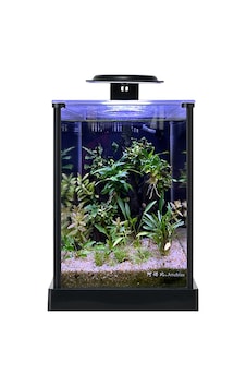 Anubias A168 Nano Akvaryum Set 18,7x23,7x25,8 Cm Anubias A168 Nano Akvaryum Set 18,7x23,7x25,8 Cm