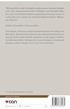 Kediler Güzel Uyanır