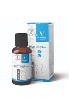 VETDELUXE Plus +B Kediler İçin Tüy Dökülmesi Engelleyici, Çinko Vitamin İçerikli Biotine Tüy Sağlığı Damlası 100 ML VETDELUXE Plus +B Kediler İçin Tüy Dökülmesi Engelleyici, Çinko Vitamin İçerikli Biotine Tüy Sağlığı Damlası 100 ML