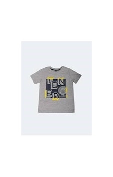 Fenerbahçe Lisanslı Çocuk Tribun Fb Logo Gri T-shirt Gri Fenerbahçe Lisanslı Çocuk Tribun Fb Logo Gri T-shirt Gri