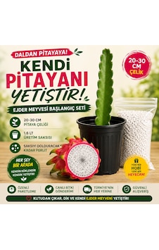 Kendi Pitayanı Yetiştir Ejder Meyvesi Başlangıç Seti 20-30 Cm Çelik + 1,6 L Saksı + Perlit Kendi Pitayanı Yetiştir Ejder Meyvesi Başlangıç Seti 20-30 Cm Çelik + 1,6 L Saksı + Perlit