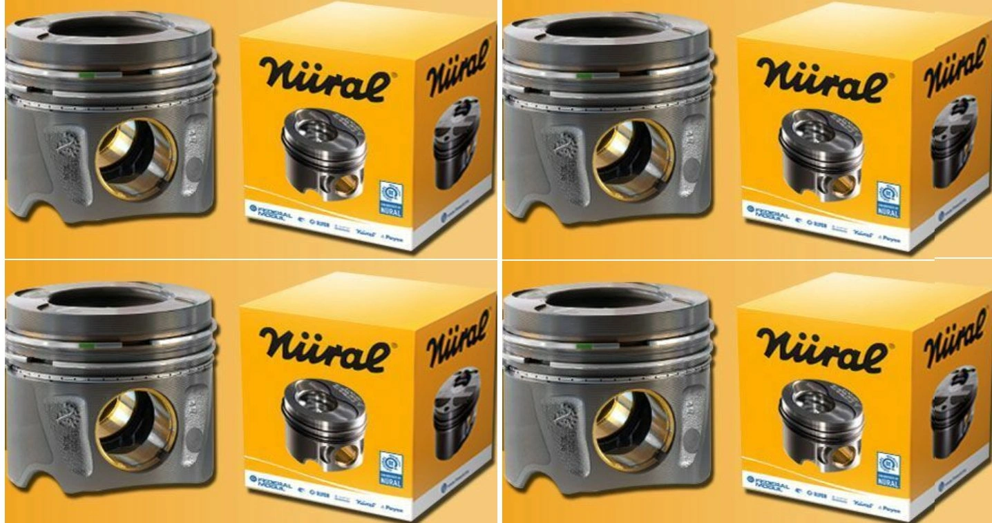 Opel Vectra B 2.0 Benzinli X20xev Motor Std Ölçü Piston Segman Takımı, Goetze 87-71665-std Opel Vectra B 2.0 Benzinli X20xev Motor Std Ölçü Piston Segman Takımı, Goetze 87-71665-std