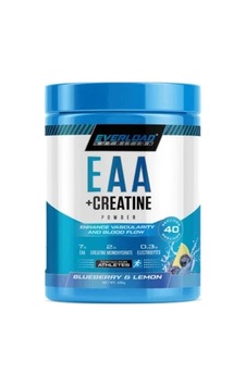 Everload Nutrition Amino Eaa+creatine Complex 400g