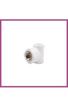 Gees Global Pprc 20mm1/2 İç Dişli T 1 Adet Gbzs Gees Global Pprc 20mm1/2 İç Dişli T 1 Adet Gbzs