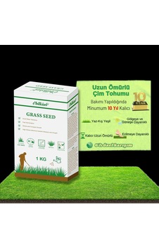 Ebitkisel Çok Yıllık Çim Tohumu 1 Kg Uzun Ömürlü 6'lı Karışım Gölge Ve Aşırı Güneşli Alan Uygun Yeti Sku: Zeus8690010000484