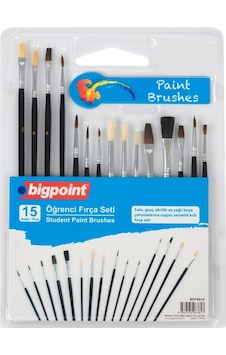 Bigpoint Öğrenci Fırça Seti 15'li Blister 5'li Kutu