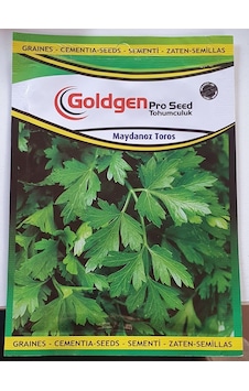 Goldgen Maydanoz Tohumu