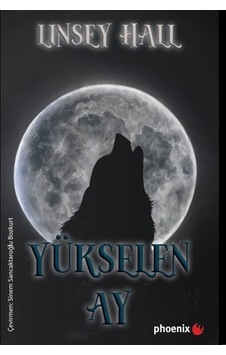 Yükselen Ay / Gölge Loncası Serisi 4 / Linsey Hall