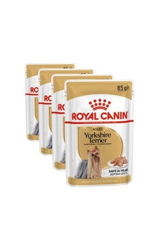 Royal Canin Yorkshire Terrier Pouch Yetişkin Köpekler İçin Konserve Mama, 85 G 4 Paketi Royal Canin Yorkshire Terrier Pouch Yetişkin Köpekler İçin Konserve Mama, 85 G 4 Paketi