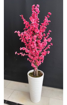 160 Cm Pembe Bahar Dalı Ağacı Kumsal Plastik Saksıda 160 Cm Pembe Bahar Dalı Ağacı Kumsal Plastik Saksıda