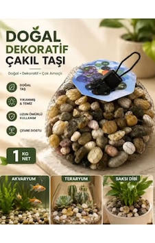 Mucit Home Kahve Doğal Taş Fanus Taşı Akvaryum Balık Taşı