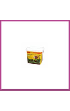 Gees Global Aquaclay Akvaryum Bitki Kumu 5 Lt Kova Gbzs