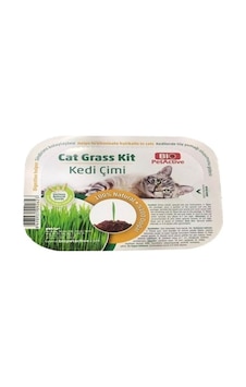 Bio Petactive Cat Grass Kit Doğal Kedi Çimi Kiti