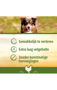 Chicken Medium Orta Boy Tavuklu Kemik 2'li, 158 Gr Köpek Ödülü Chicken Medium Orta Boy Tavuklu Kemik 2'li, 158 Gr Köpek Ödülü