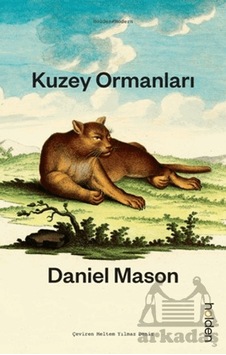 Kuzey Ormanları Holden Kitap Daniel Mason
