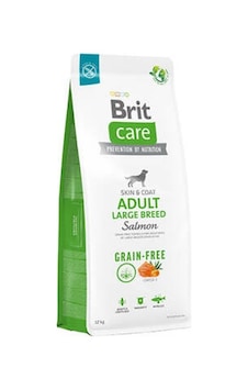 Skin Coat Adult Large Breed Somonlu Büyük Irk Tahılsız Yetişkin Köpek Maması 12 Kg