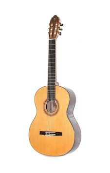 Valencia Cgltd5 Klasik Gitar Limited 5 Parlak Özel Seri - Seçme Ağaçlar - Altın Aksam Valencia Cgltd5 Klasik Gitar Limited 5 Parlak Özel Seri - Seçme Ağaçlar - Altın Aksam