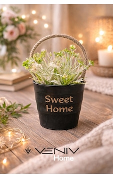 Dekoratif Sepet Saksı + Bitki - Pinterest Tasarım - 17 Cm Siyah