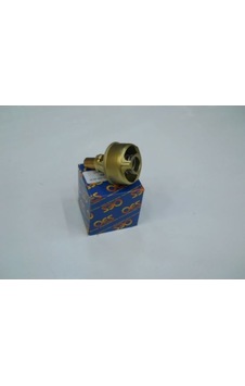 OES 3010004051 Termostat 75 Derece R12