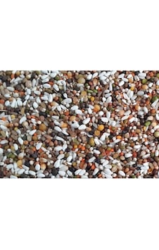Güvercin Yemi Karışık Güvercin Yemi Lüx Ekonomik 500 Gr Güvercin Yemi Karışık Güvercin Yemi Lüx Ekonomik 500 Gr