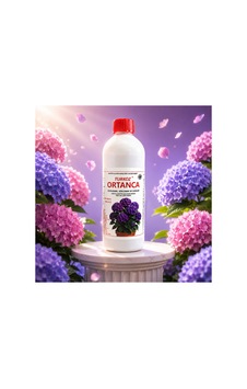 Ortanca Besini Diğer
