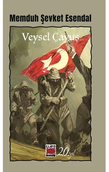 Veysel Çavuş-öykü