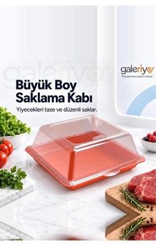 Derin Dondurucu Saklama Kabı Büyük Boy Turuncu
