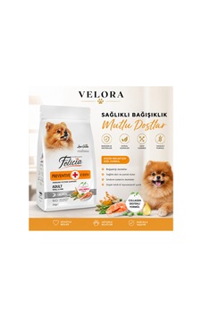 Felicia Preventive Care Somonlu Yetişkin Küçük Irk Köpek Maması 3 Kg - , Düşük Tahıllı - 886836186 Felicia Preventive Care Somonlu Yetişkin Küçük Irk Köpek Maması 3 Kg - , Düşük Tahıllı - 886836186