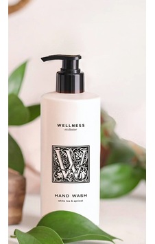 Wellness Exclusive White Tea & Apricot Hand Wash 380 ML Wellness Exclusive White Tea & Apricot Hand Wash 380 ML