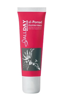 Allday All-Pomad Kuşlar için Deri Bakım Ürünü 30 G Allday All-Pomad Kuşlar için Deri Bakım Ürünü 30 G