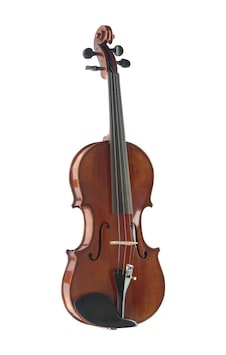 Stagg Vn 4/4 Hg Tam Boy Keman Stagg Vn 4/4 Hg Tam Boy Keman