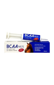 Bcaa Paste 60 Ml Bcaa Paste 60 Ml