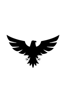 Kartal Sticker Oto Motor Laptop Duvar Folyo Sticker 20x30 Cm Kartal Sticker Oto Motor Laptop Duvar Folyo Sticker 20x30 Cm